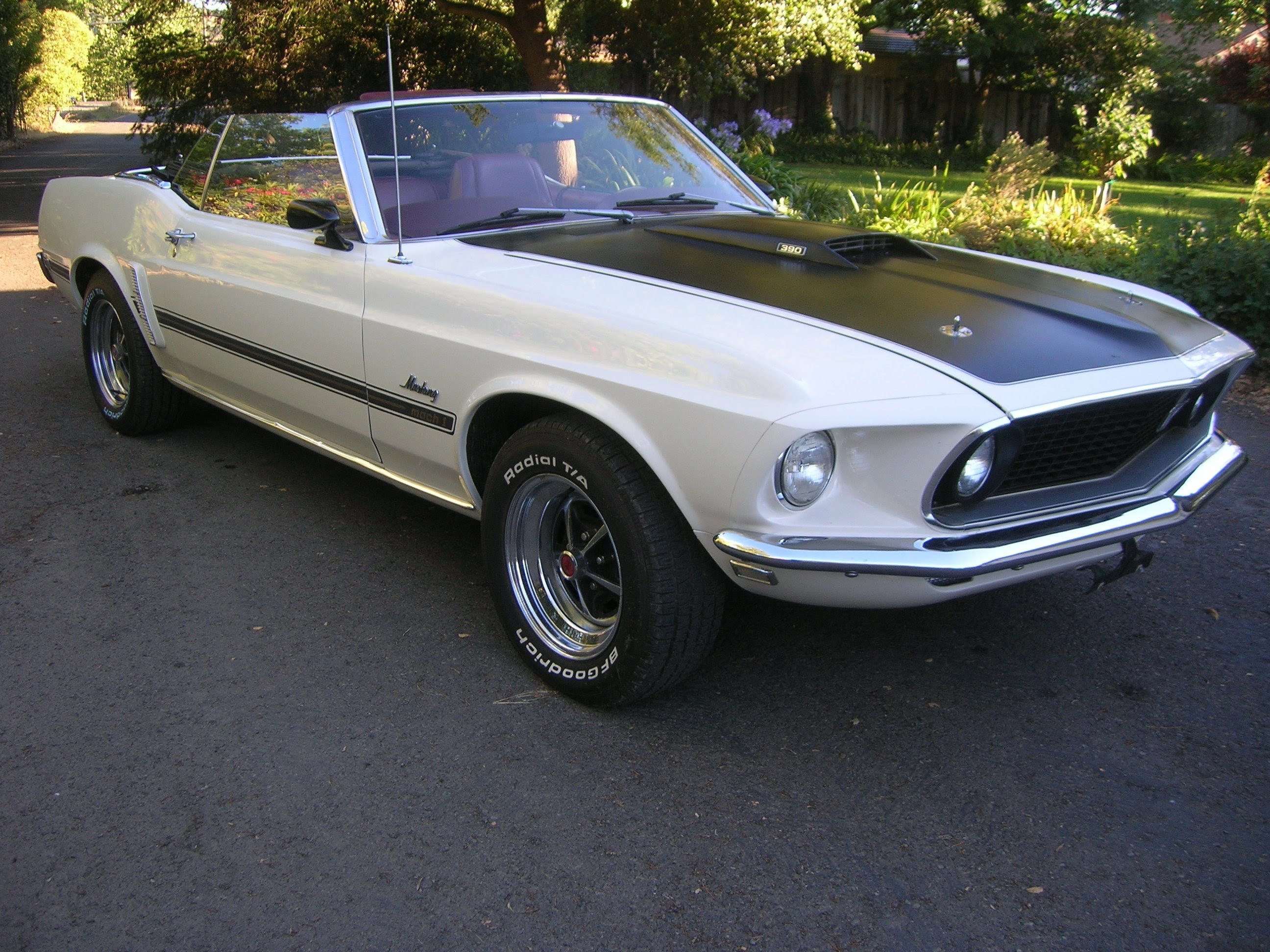 mustang na wynajem